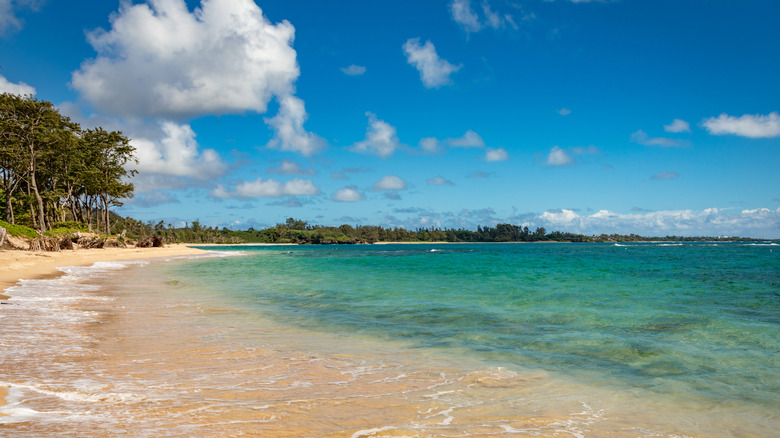 The beach area at Malaekahana State Recreation Area on Oahu, Hawaii