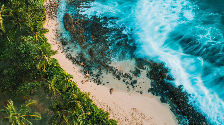 A hidden beach in Oahu, Hawaii, with vibrant blue water and golden sands