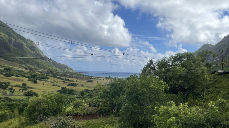 Zip lines over tropical landscapes with the ocean in the background on Oahu's North Shore