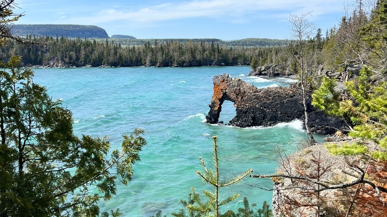 Sea Lion rock formation surrounded by trees and water