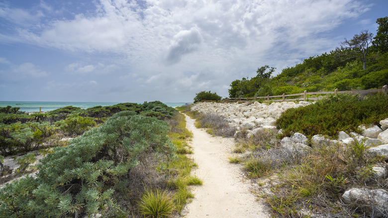 A trail through Bahia Honda State Park near Big Pine Key