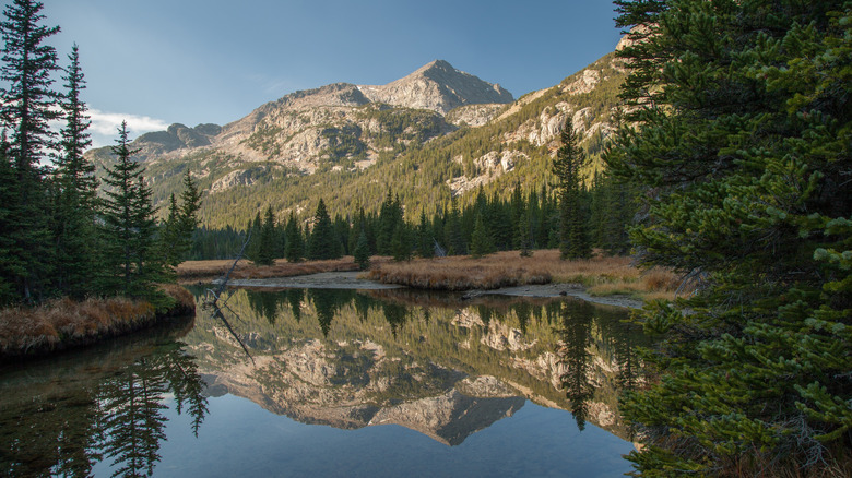 Majestic scenery in Custer Gallatin National Forest