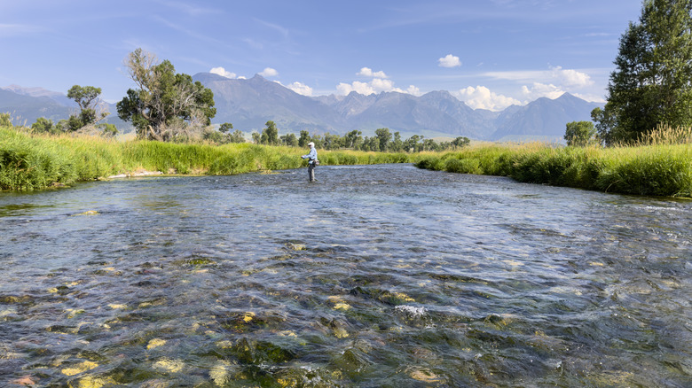Fishing in Beartooths in Custer Gallatin