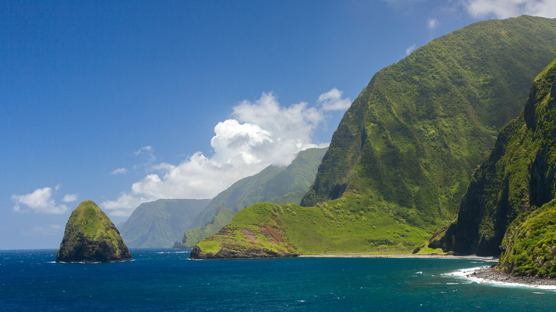 sea cliffs of molokai 