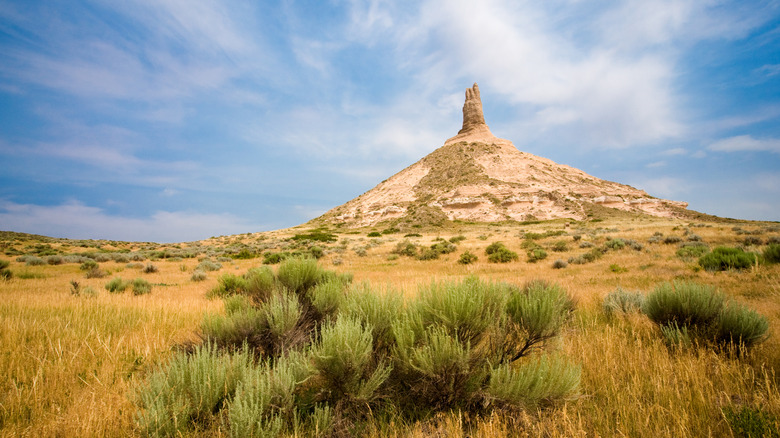 Chimney Rock sits against blue sky with green shrubs in front