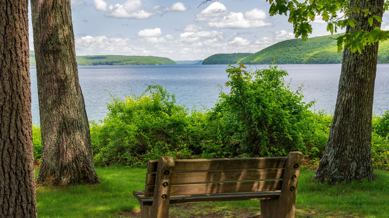 bench overlooking Quabbin Reservoir near Ware, Massachusetts