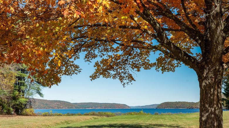 autumn foliage at Quabbin Reservoir near Ware, Massachusetts