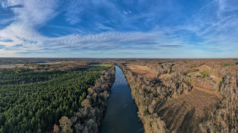 Aerial view of Yadkin River in North Carolina during the day with juxtaposition of lush trees on one side and wilted trees on the other.