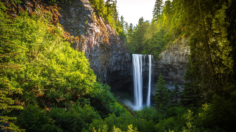 Tamanawas Falls surrounded by greenery