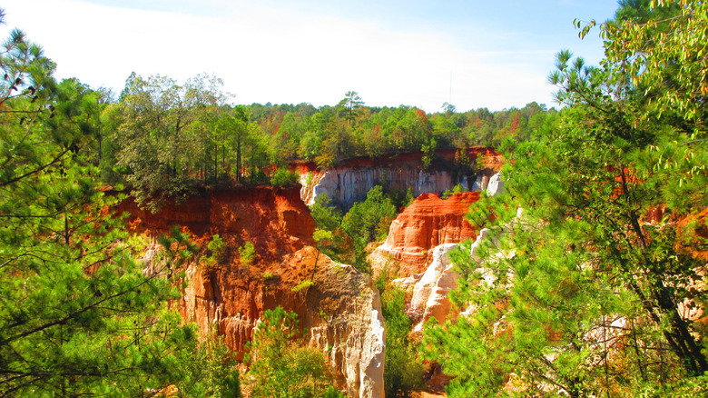Views of Providence Canyon State Park from the rim trail