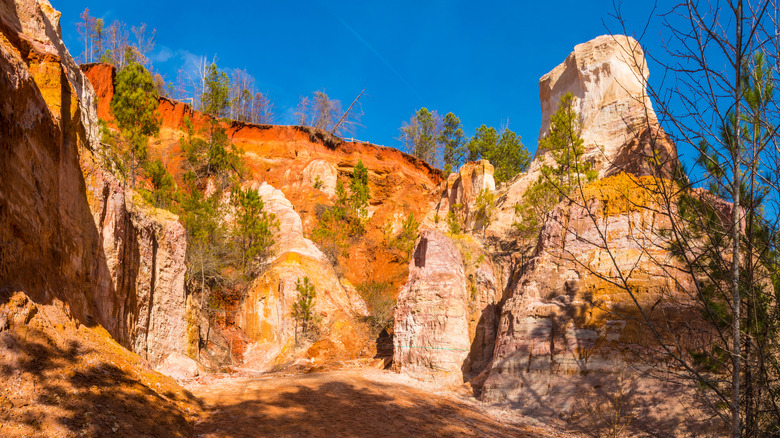Canyon floor of Providence Canyon State Park
