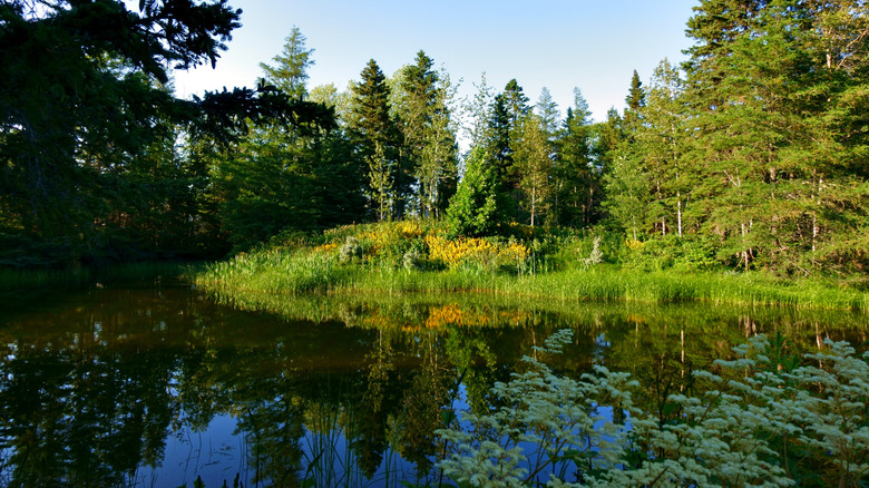 Jardins de Métis just outside Mont-Joli