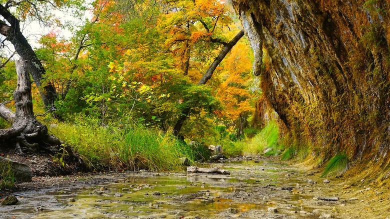 Hiking trail inside Lost Maples State Park in Vanderpool, Texas