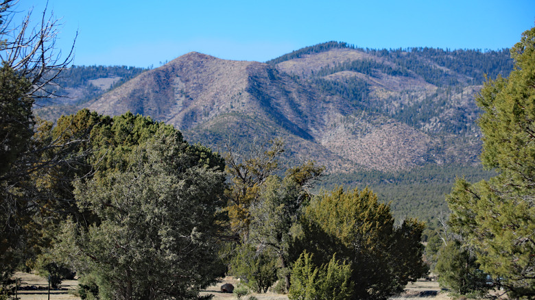 Capitan Mountains, New Mexico