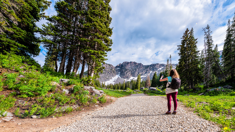 A hiker on a mountain trail in the Utah Albion Basin area.