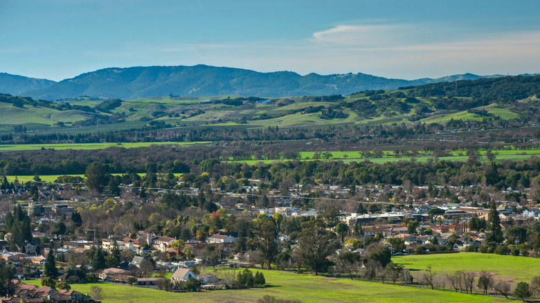 View of Sonoma from the Sonoma Overlook Trail