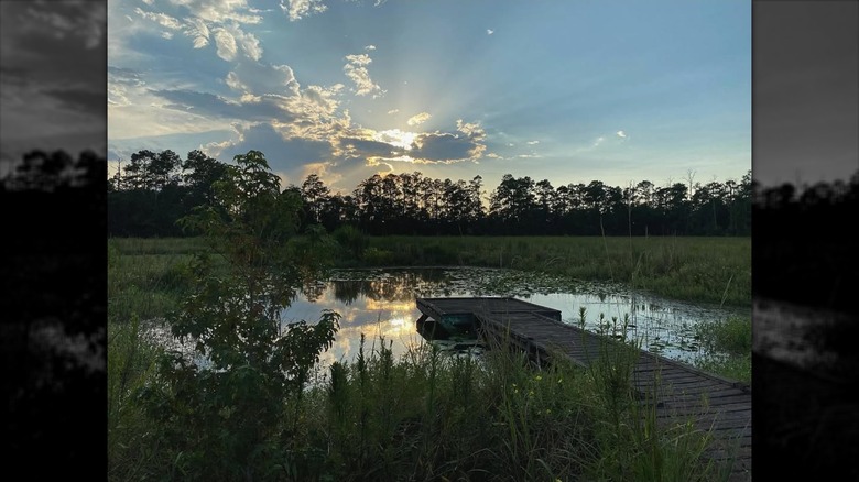 Water views in Orange, Texas