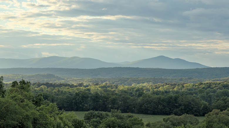Sunset in the mountains of the Hudson Valley Catskills with forest trees in the foreground
