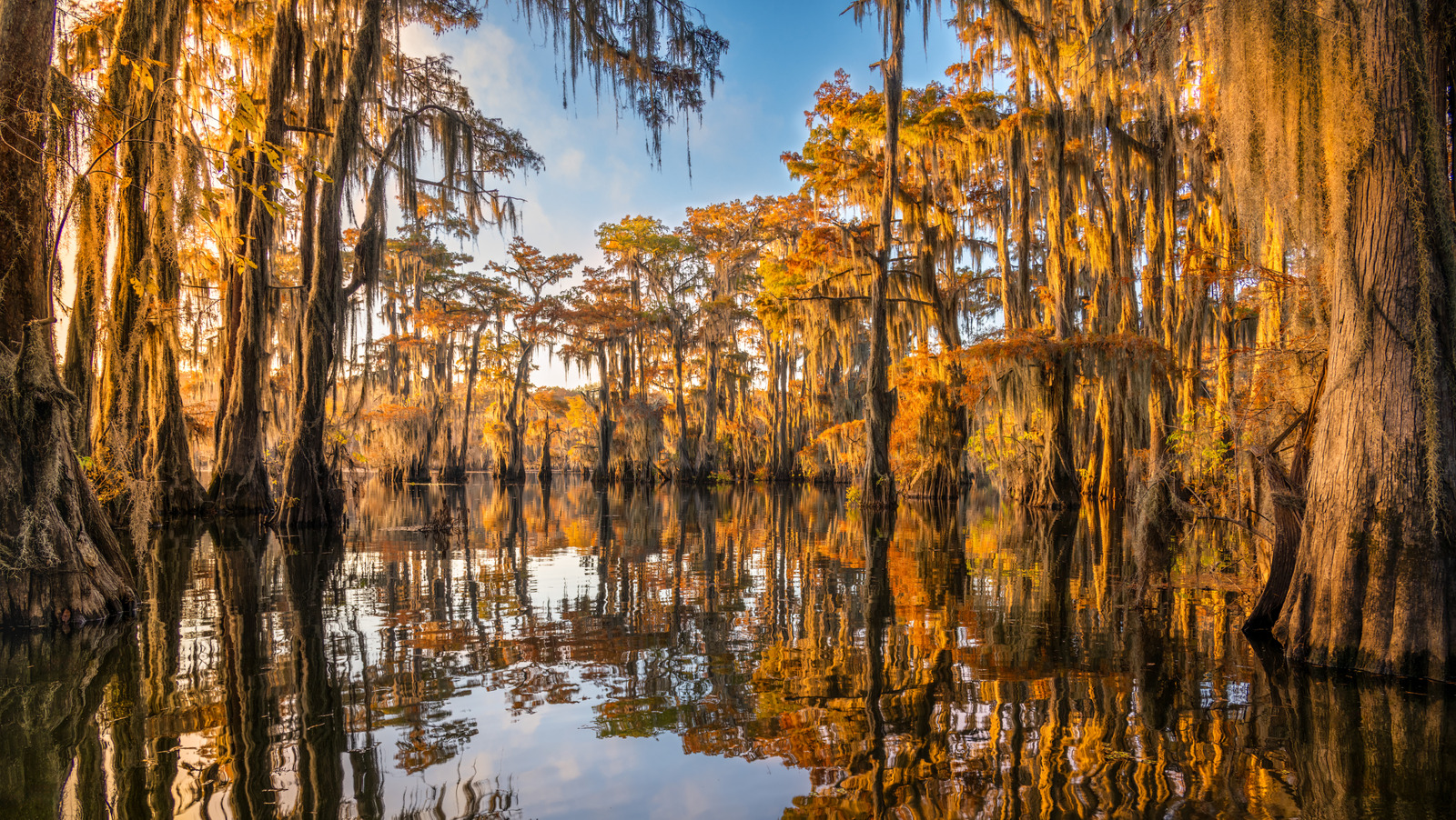 This Historic Louisiana City Is A Hub Of Architecture, Culture, And Family-Friendly Outdoor Fun - Islands
