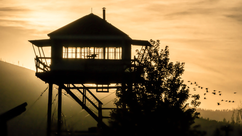 Fire lookout tower in Montana at sunset with a flock of geese flying past