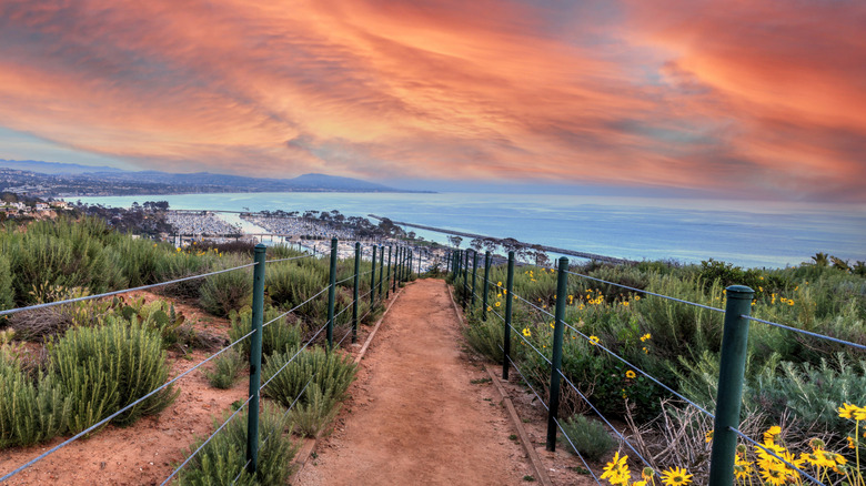 Hiking trail in Dana Point