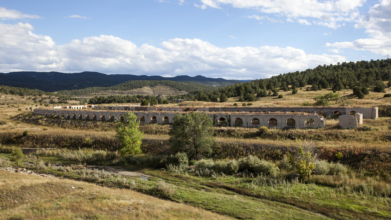 The historic coke ovens of Cokedale, CO