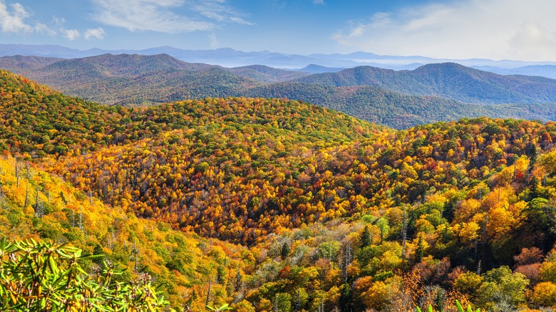 Pisgah National Forest views