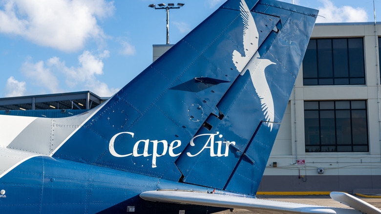 Cape Air craft wing