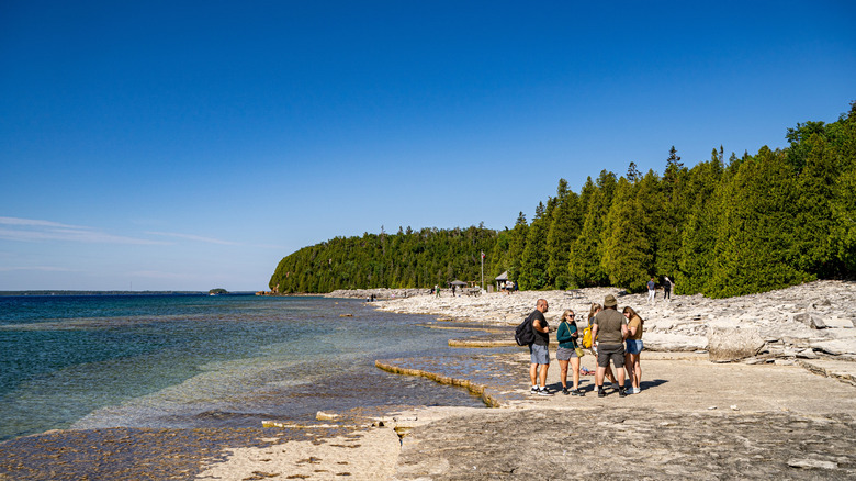 Group of tourists standing on a flat rock by the shore and ringed by pine trees on Flowerpot Island