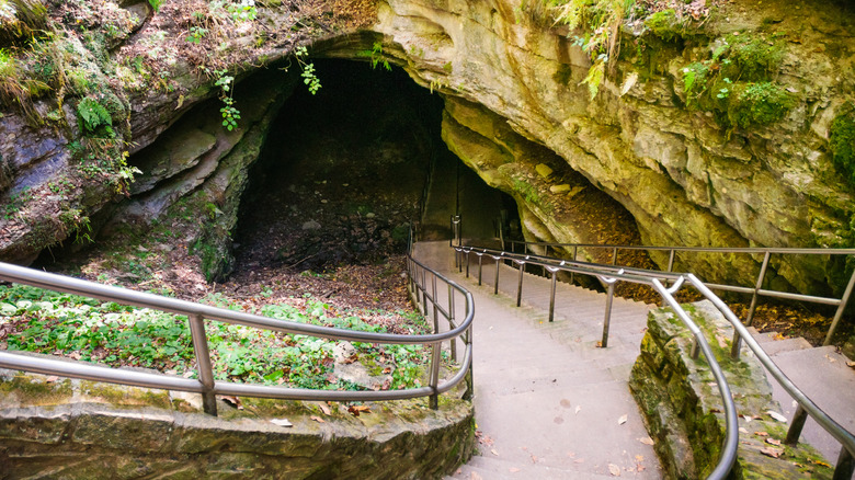 mammoth cave national park