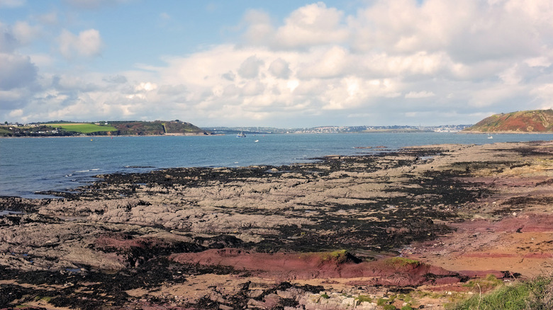 View of Spike Island's rocky shoreline