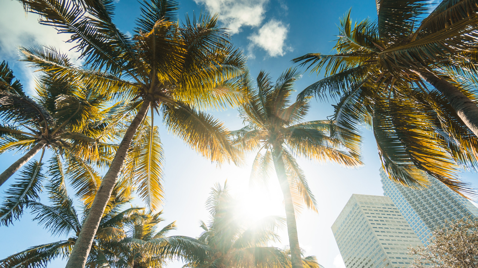 This Is Where Miami Locals Go To Beat The Summer Heat
