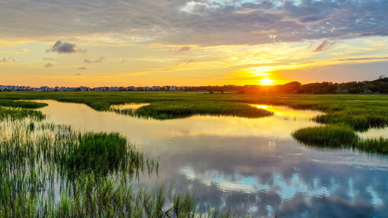 Georgia's Golden Isles at sunset