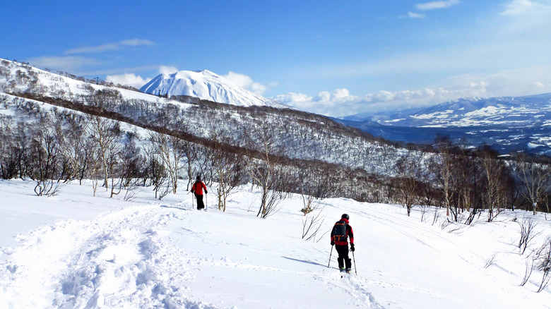 Two back country skiers at Niseko United resort in Japan