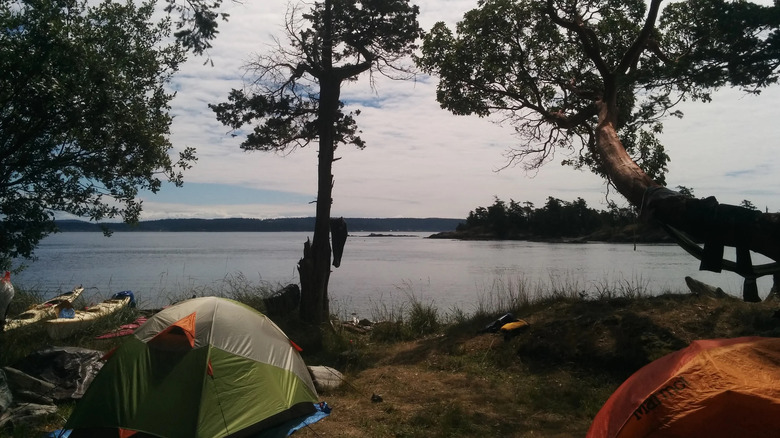 A waterfront campsite at Turn Island Marine State Park, WA