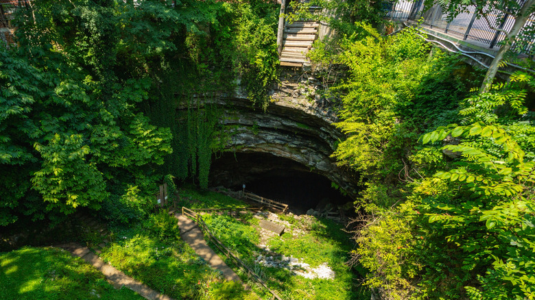 a sunken cave in Horse Cave, Kentuky