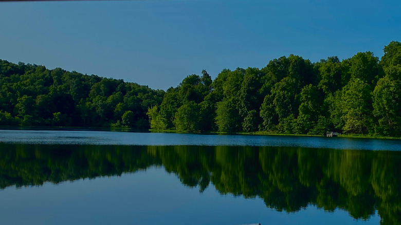 Trees along the shore reflected in the calm waters of Pennyrile Lake