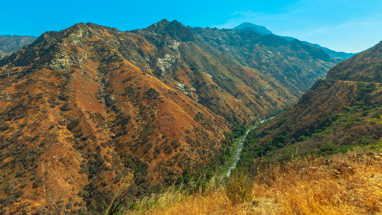 View of Kings Canyon National Park