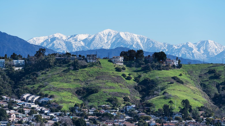 Snow capped Mount Baldy behind the Los Angeles Mount Washington neighbourhood