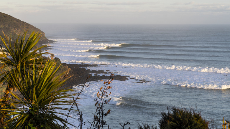 Line of surfing waves near beach