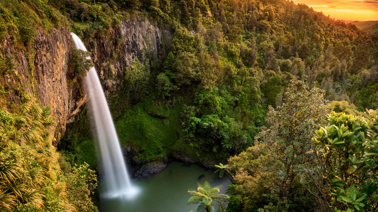 Waterfall flowing into pool at sunset, surrounded by trees