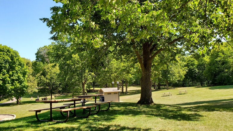 One of the group campgrounds with grassy sites, picnic tables, and a vault toilet at Lake Rebecca Park Reserve, Minnesota