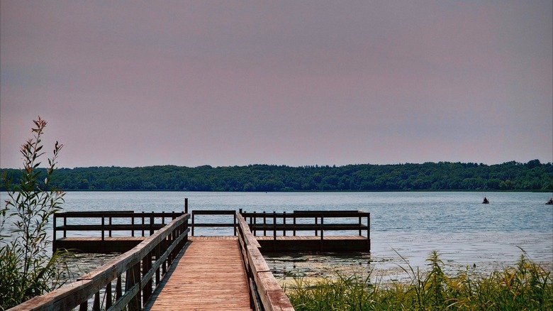 Wooden dock extending into Lake Rebecca at Lake Rebecca Park Reserve, Minnesota