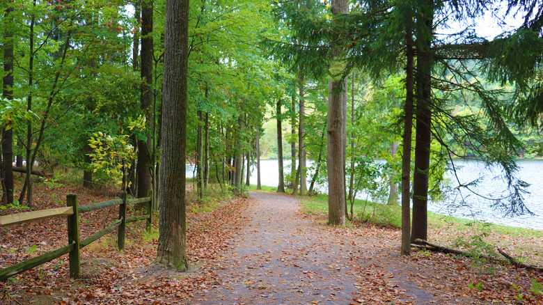 A serene trail at Cowans Gap State Park goes around the lake.