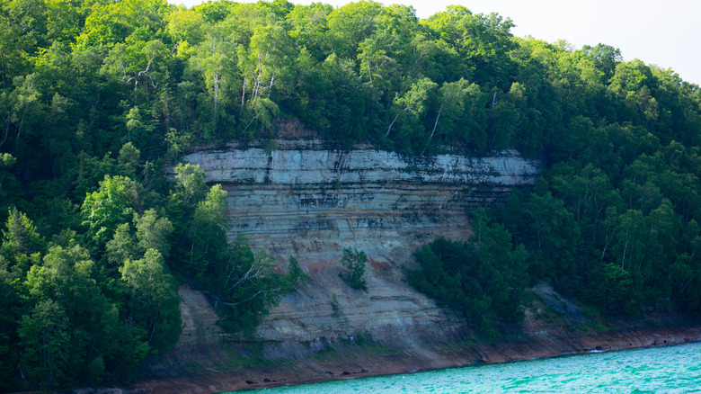 A sandstone cliff with green trees and water