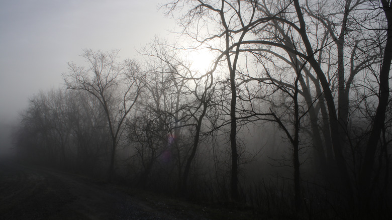 A foggy morning in Kirksville, Missouri