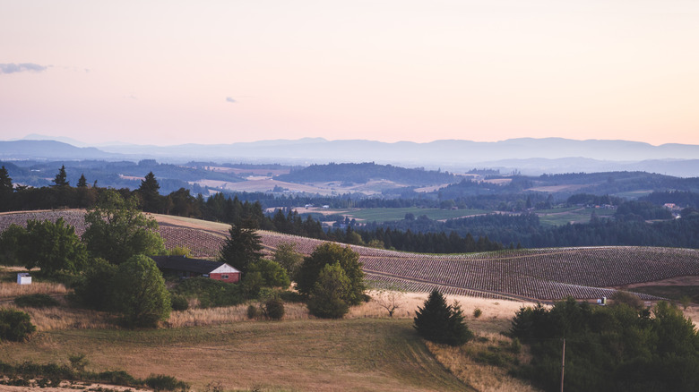 Rolling hills of farmland in Newberg, Oregon