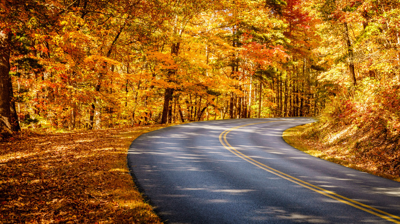 A glimpse of the Blue Ridge Parkway among colorful fall foliage