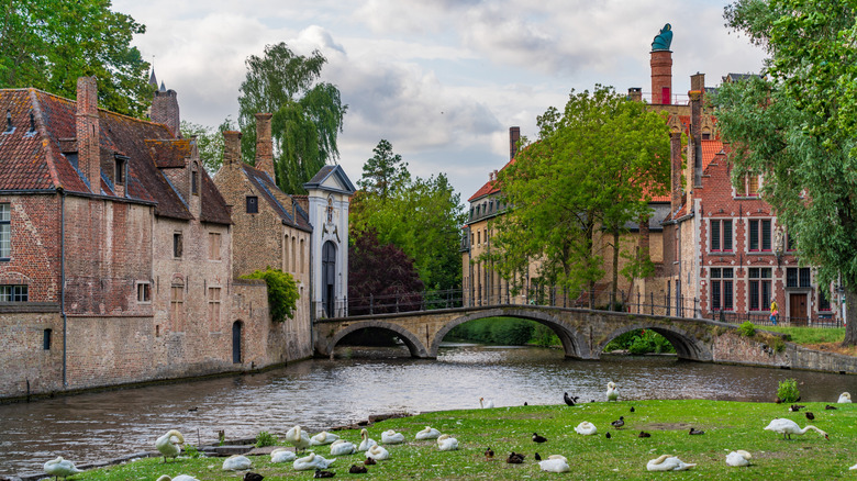 bridge over the water with swans at the Bruges Begijnhof