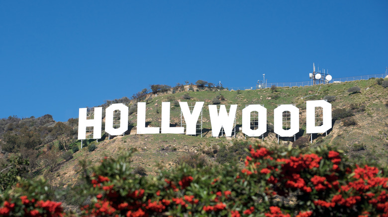 The Hollywood sign